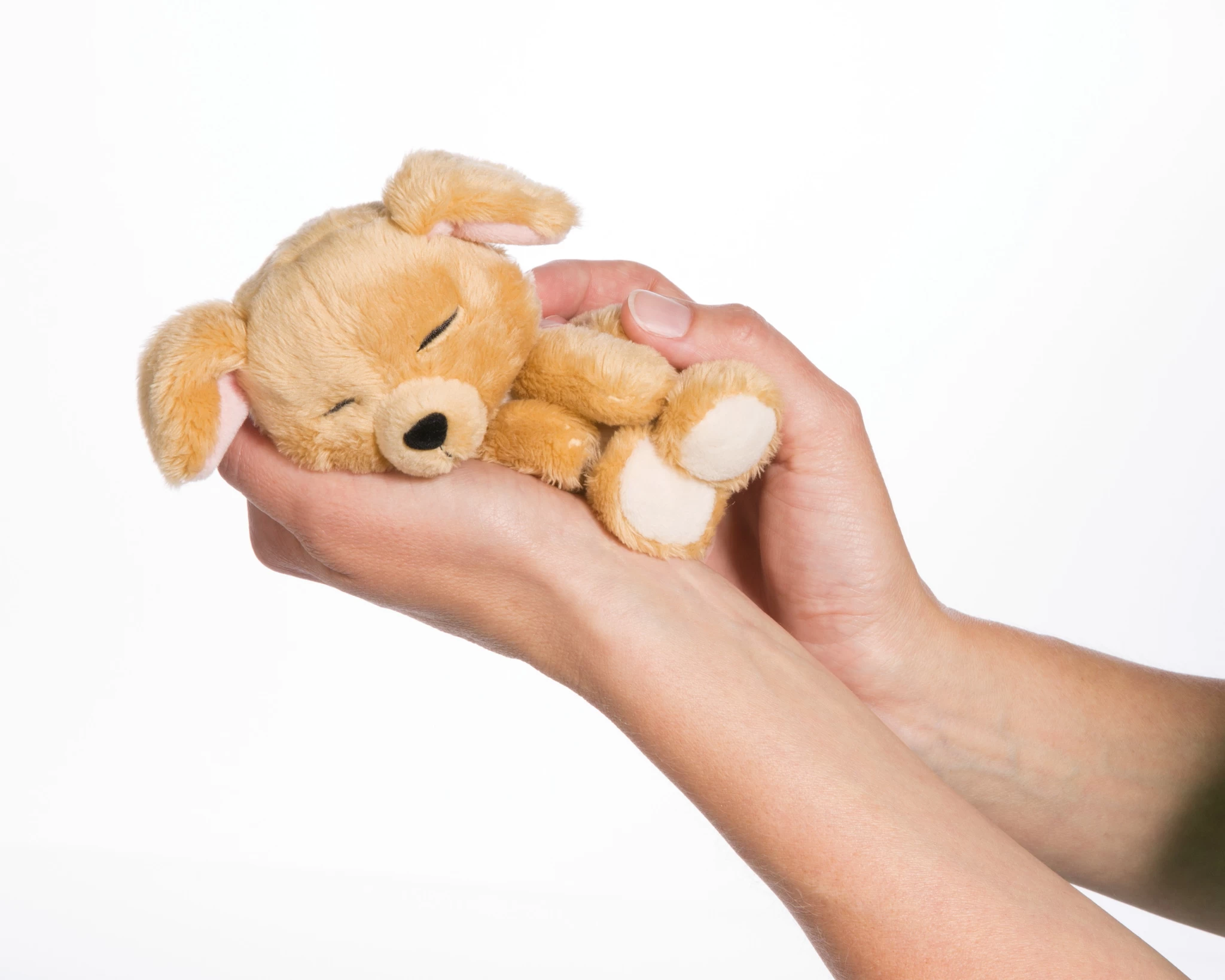 Nici 48111 Sleeping Puppies schlafendes Hundebaby im Körbchen 12cm karamell