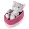 Nici 48086 Sleeping Kitties Schlafende Katze Im Körbchen 12cm Plüsch Grau