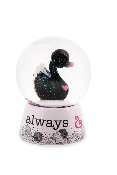 Nici 48282 + 48283 Schüttelkugel Schneekugel SET 2 Schwäne 6,5cm Love Classics