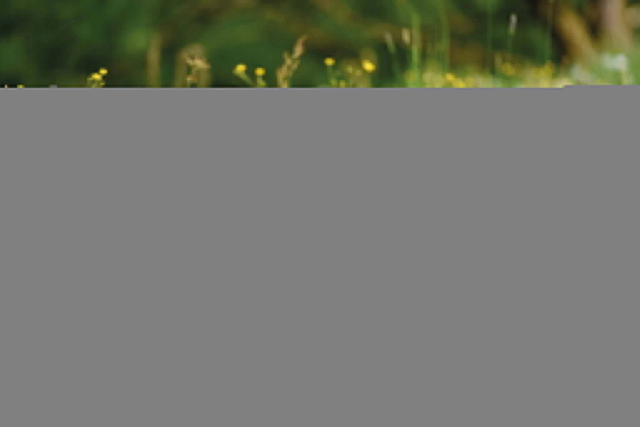 Nici 48605 Alpaka Chic Paka 25cm stehend Plüsch Kuscheltier GREEN